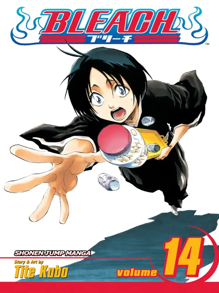 Bleach Volume 14