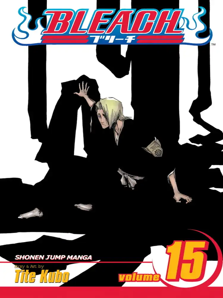 Bleach Volume 15