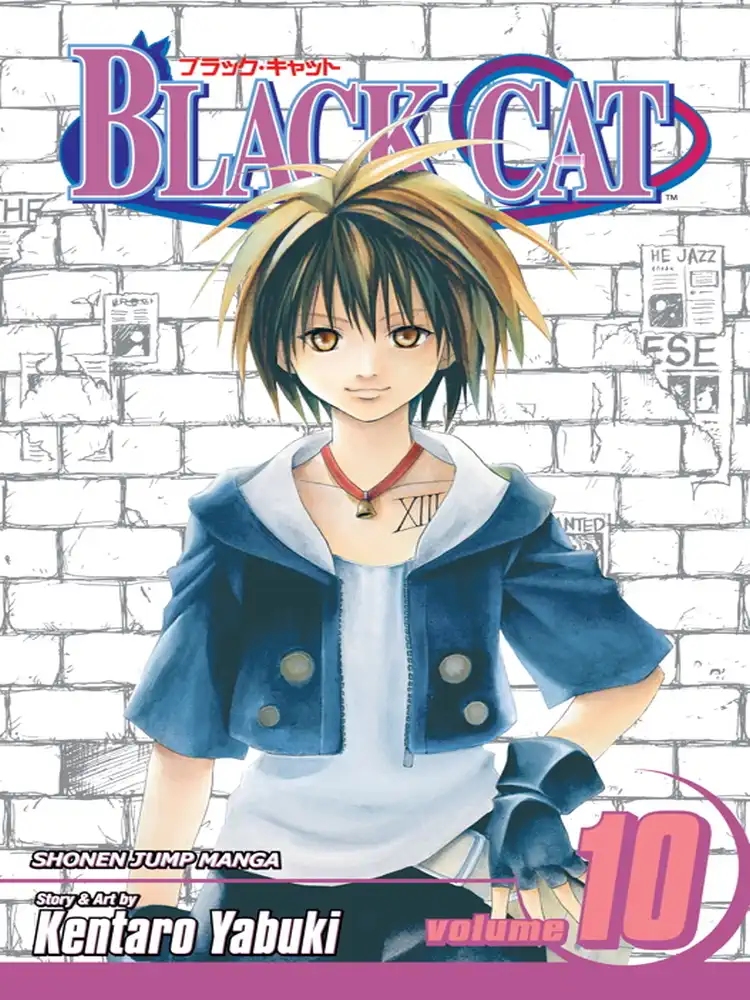 Black Cat Volume 10