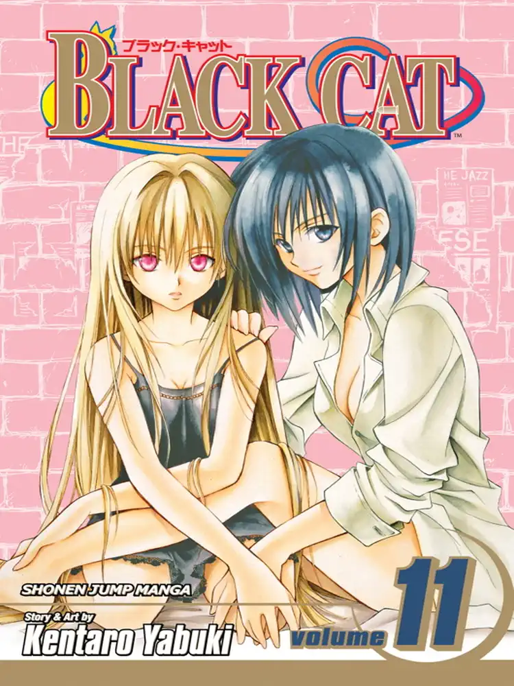 Black Cat Volume 11