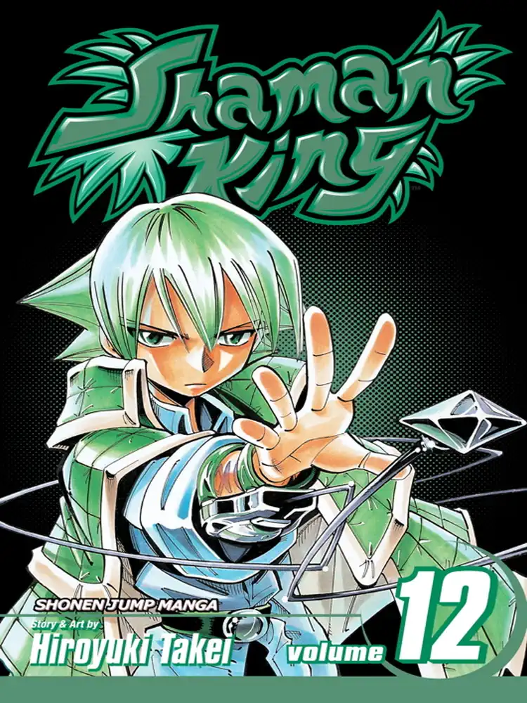 Shaman King Volume 12