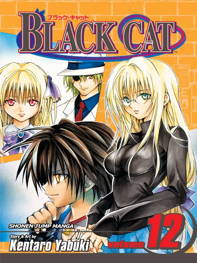 Black Cat Volume 12