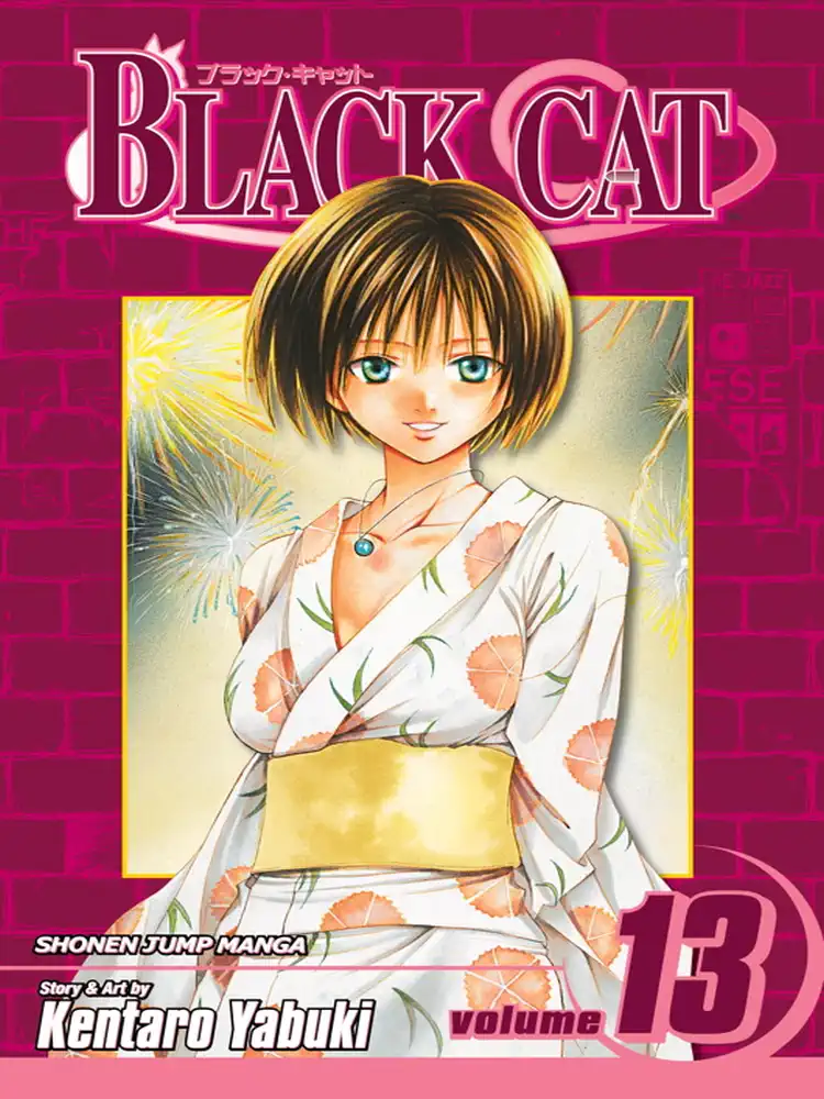 Black Cat Volume 13
