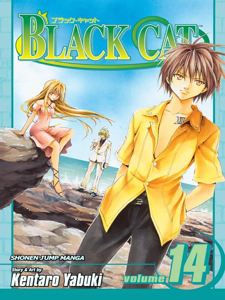 Black Cat Volume 14