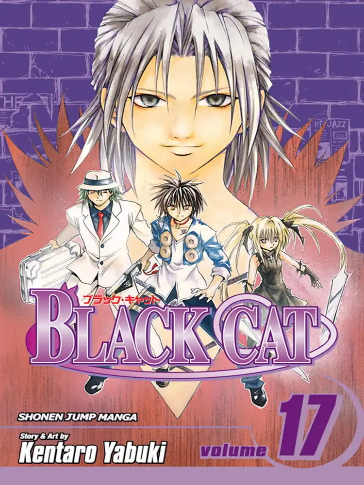 Black Cat Volume 17