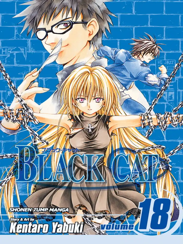 Black Cat Volume 18