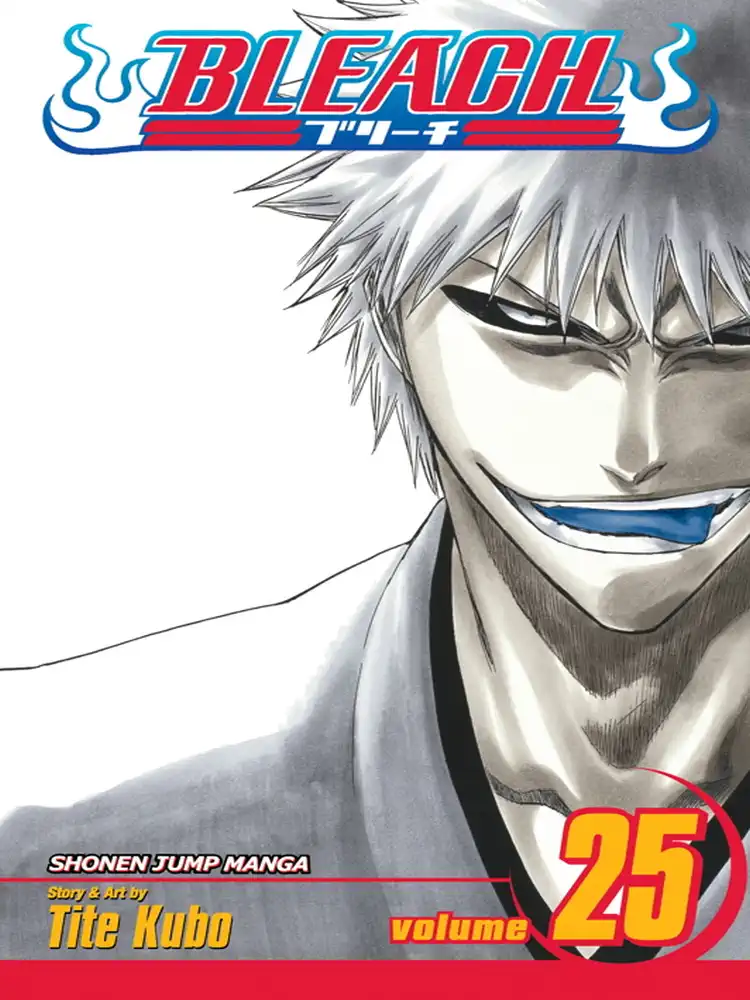 Bleach Volume 25
