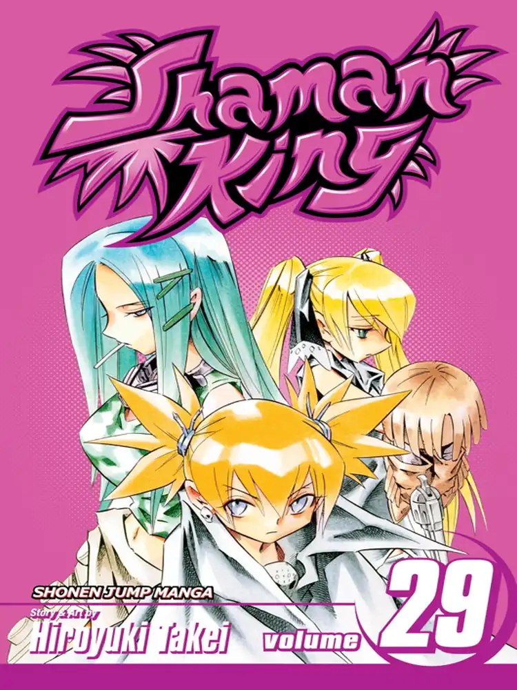 Shaman King Volume 29