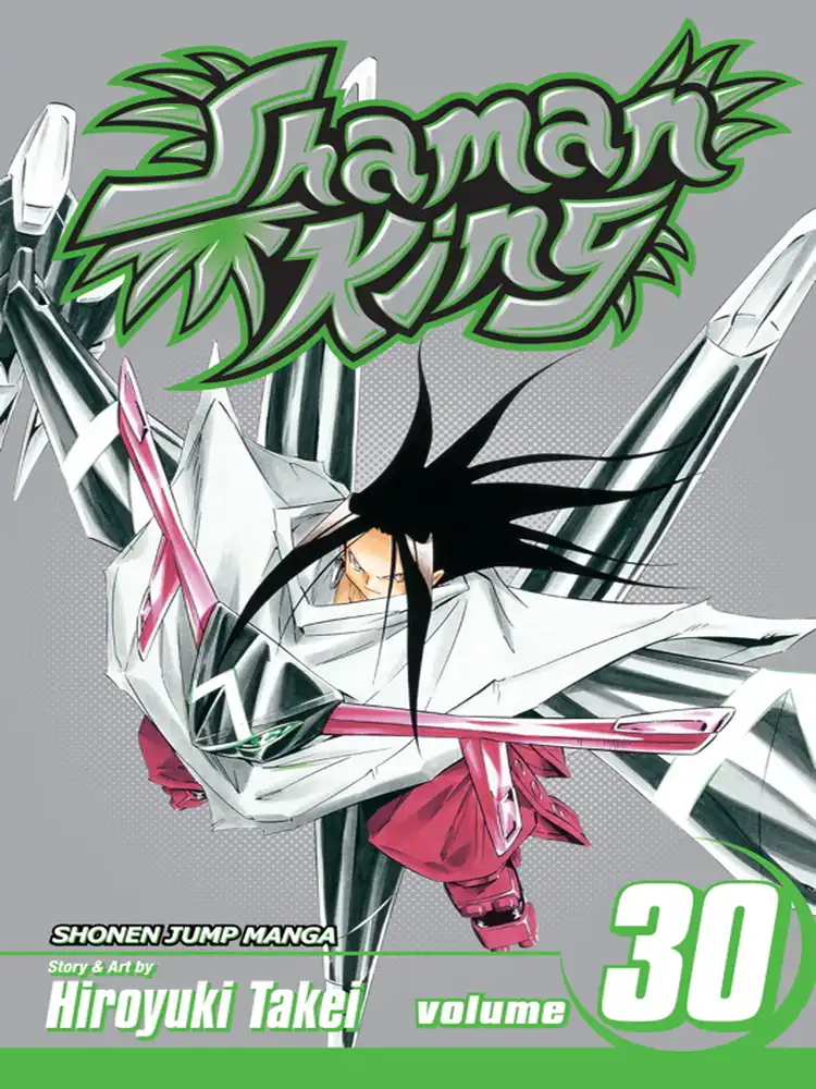 Shaman King Volume 30