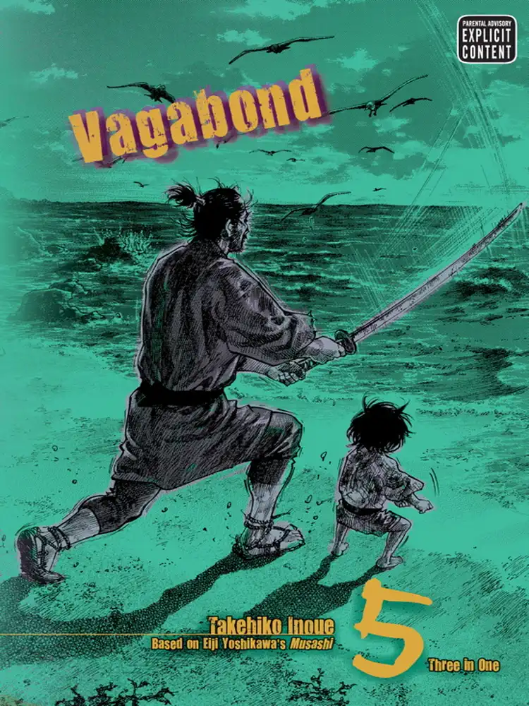 Vagabond Vizbig Edition Volume 05