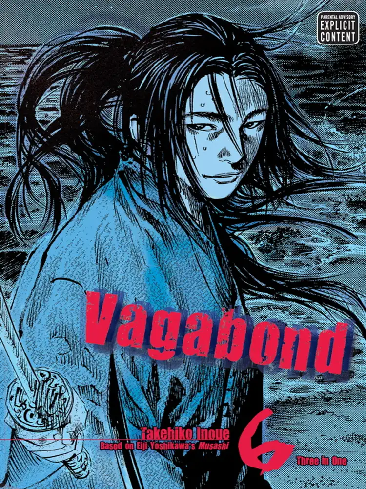Vagabond Vizbig Edition Volume 06