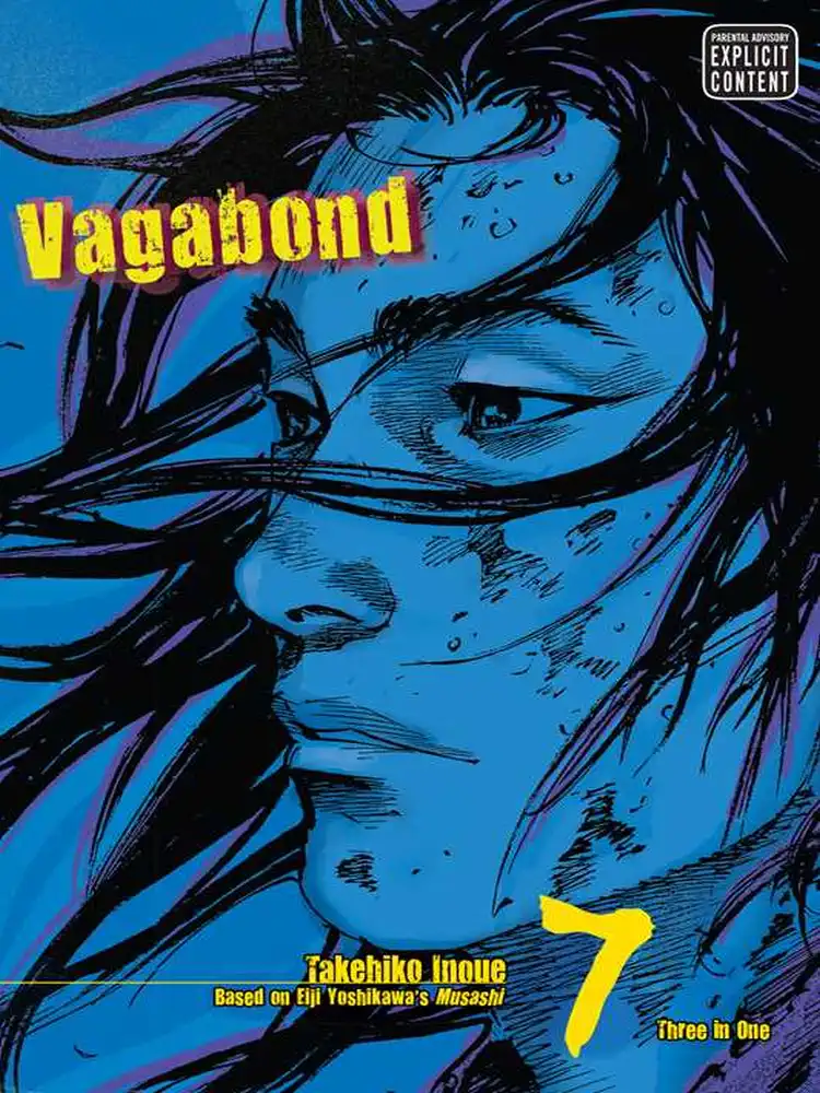 Vagabond Vizbig Edition Volume 07