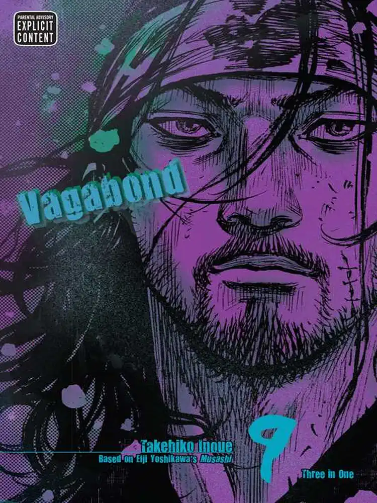 Vagabond Vizbig Edition Volume 09