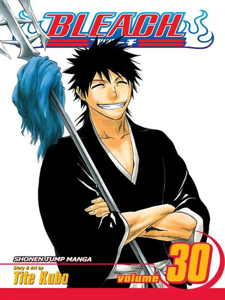 Bleach Volume 30