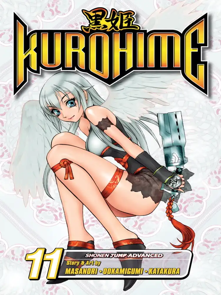 Kurohime Volume 11