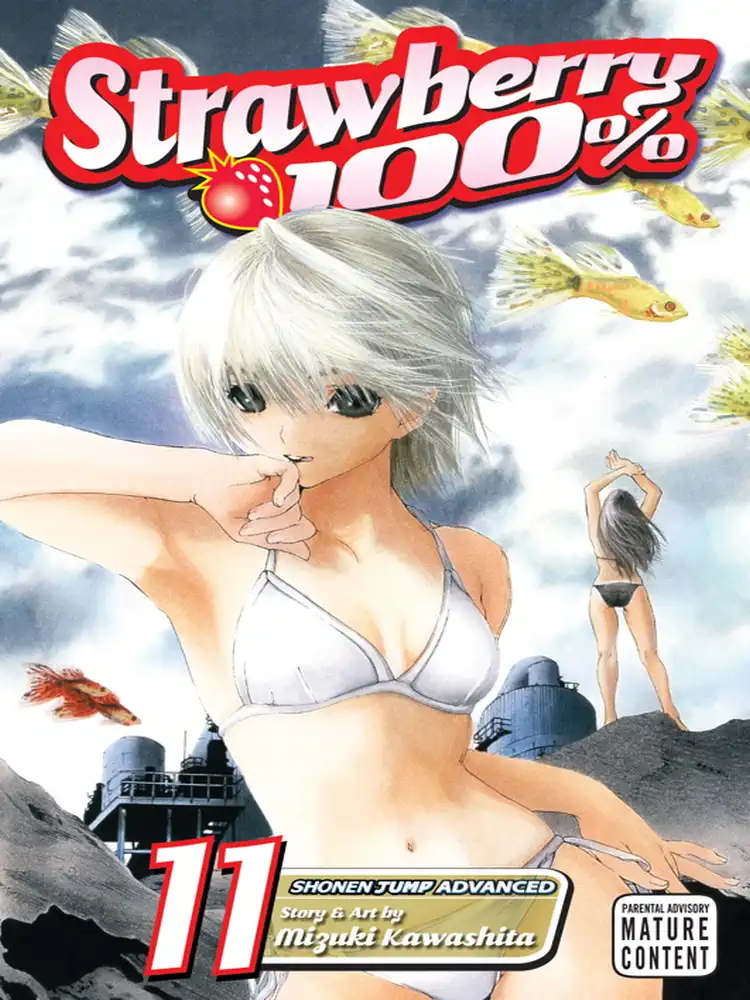 Strawberry 100% Volume 11