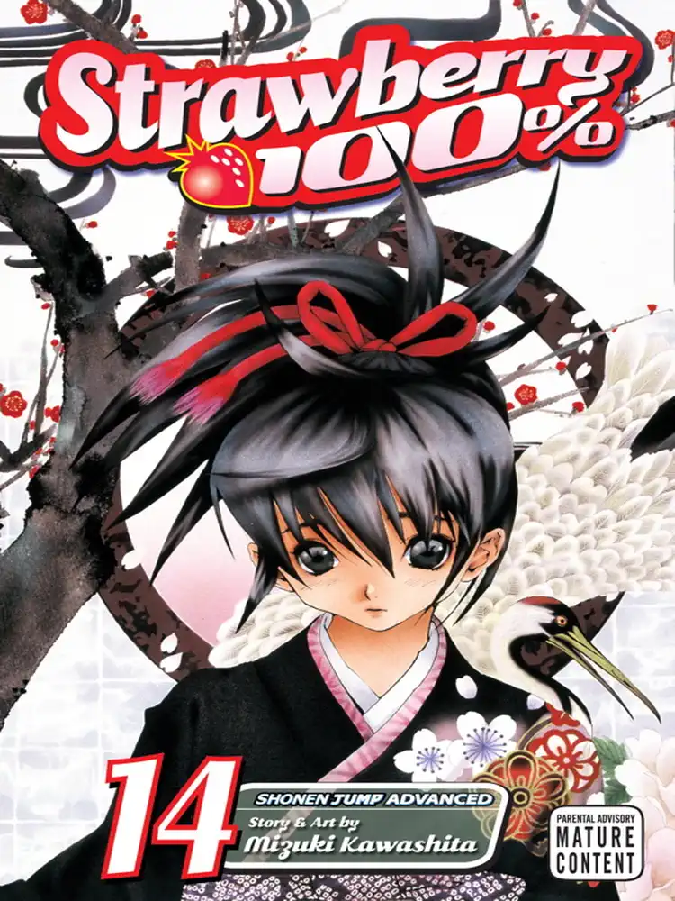 Strawberry 100% Volume 14