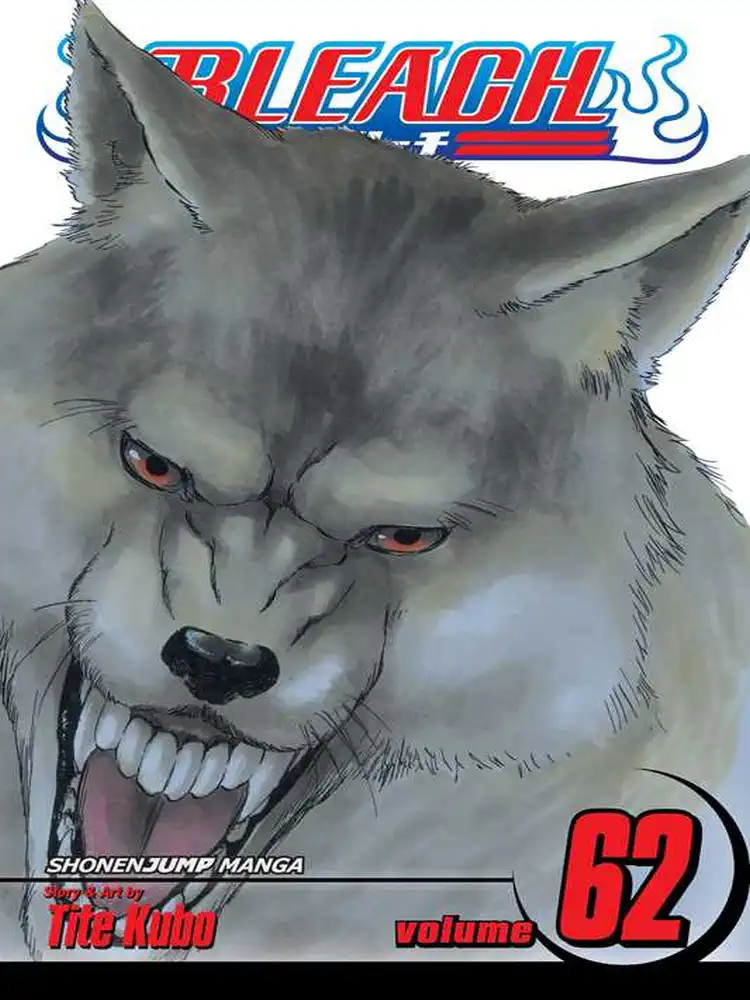 Bleach Volume 62
