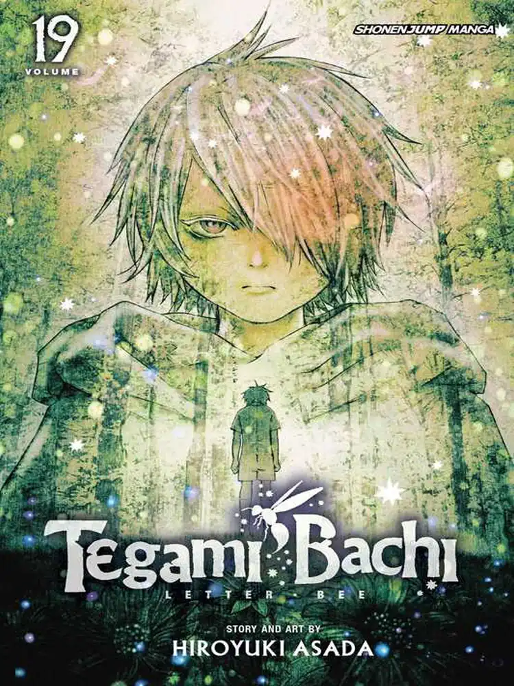 9781421585161 Tegami Bachi Volume 19