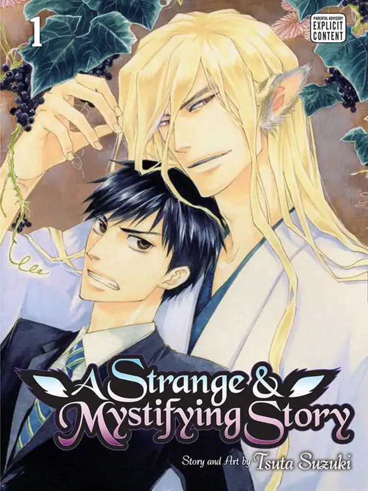A Strange & Mystifying Story Volume 01