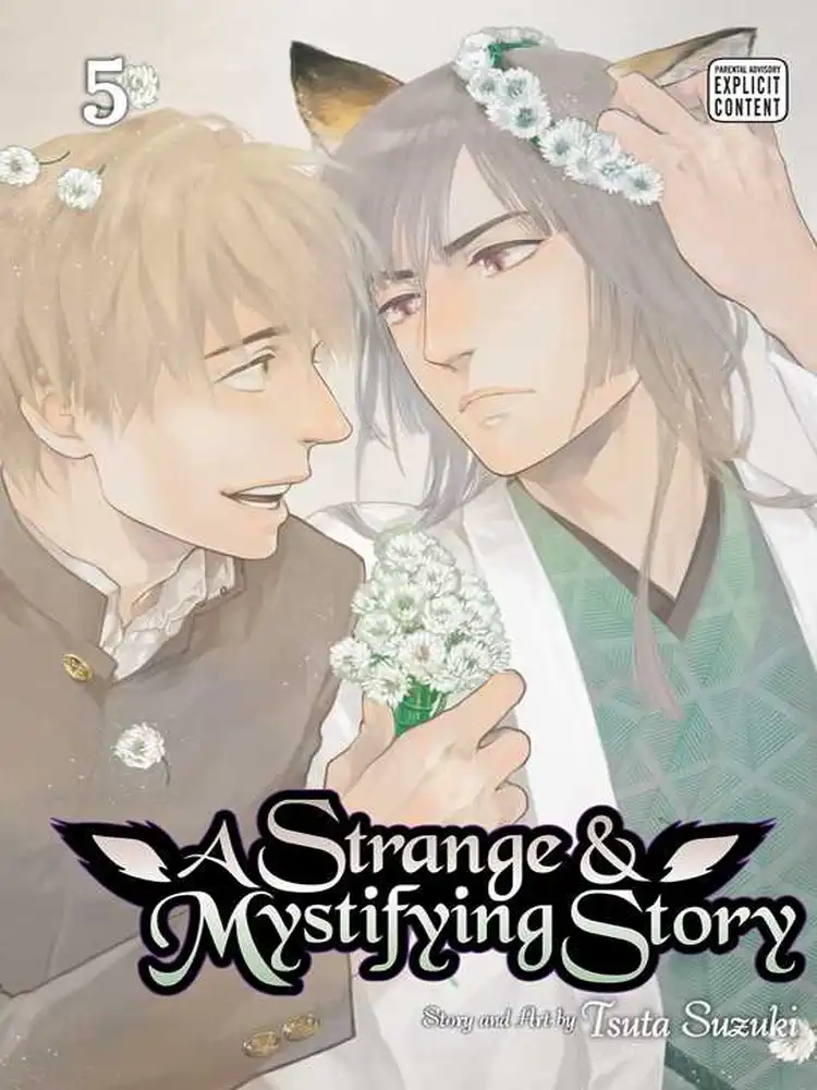 A Strange & Mystifying Story Volume 05
