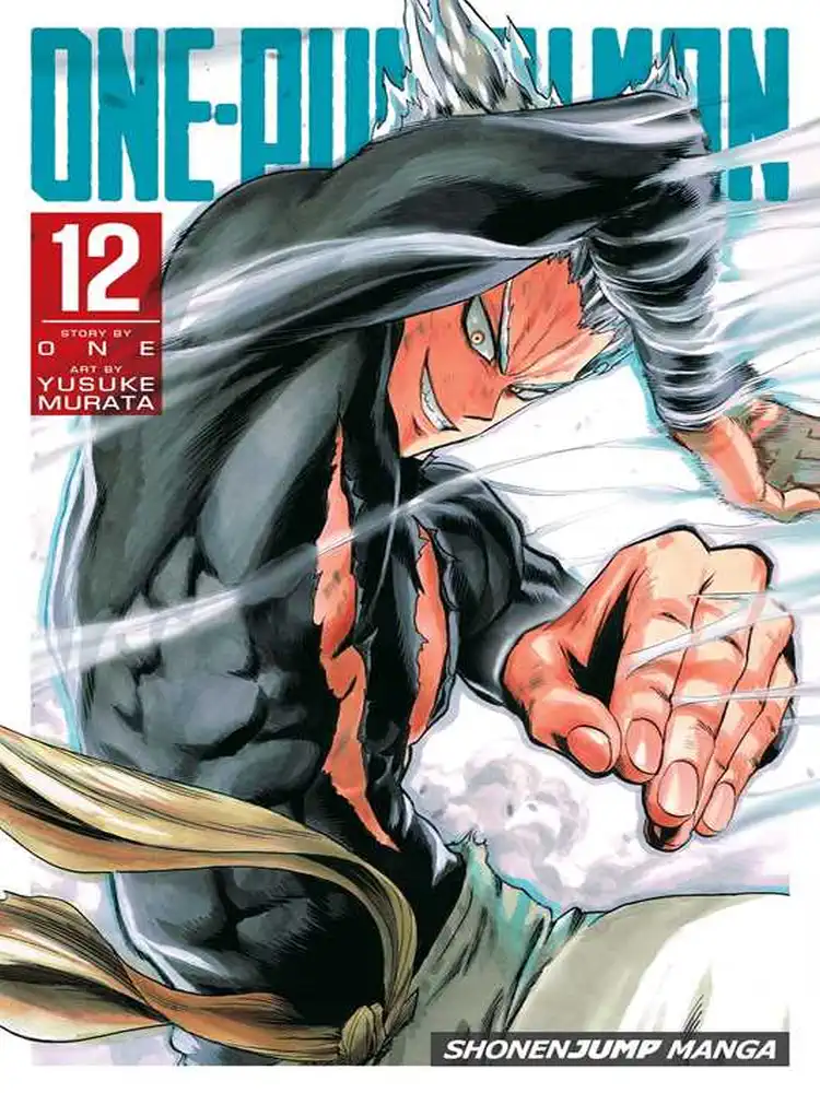 9781421596204 One-Punch Man Volume 12