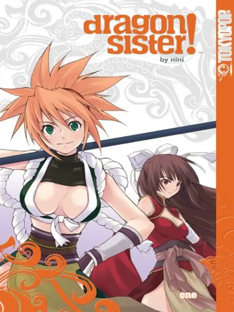 9781427805256 Dragon Sister! Volume 01