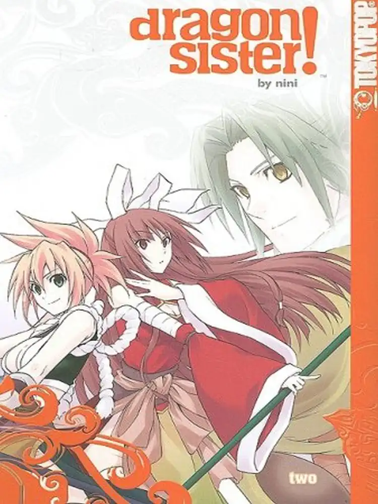 9781427805263 Dragon Sister! Volume 02
