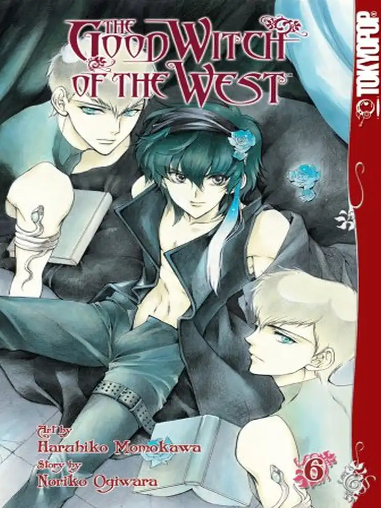 9781427808899 The Good Witch of the West Volume 06