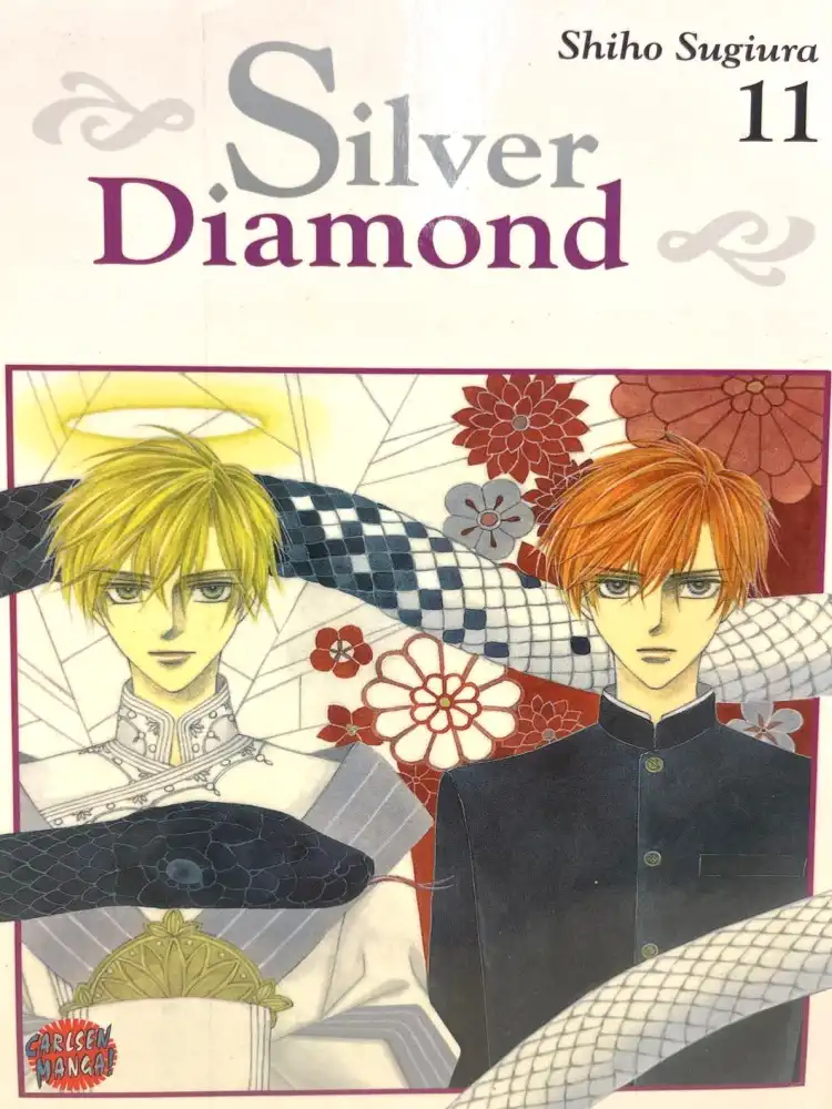 9781427831668 Silver Diamond Volume 11
