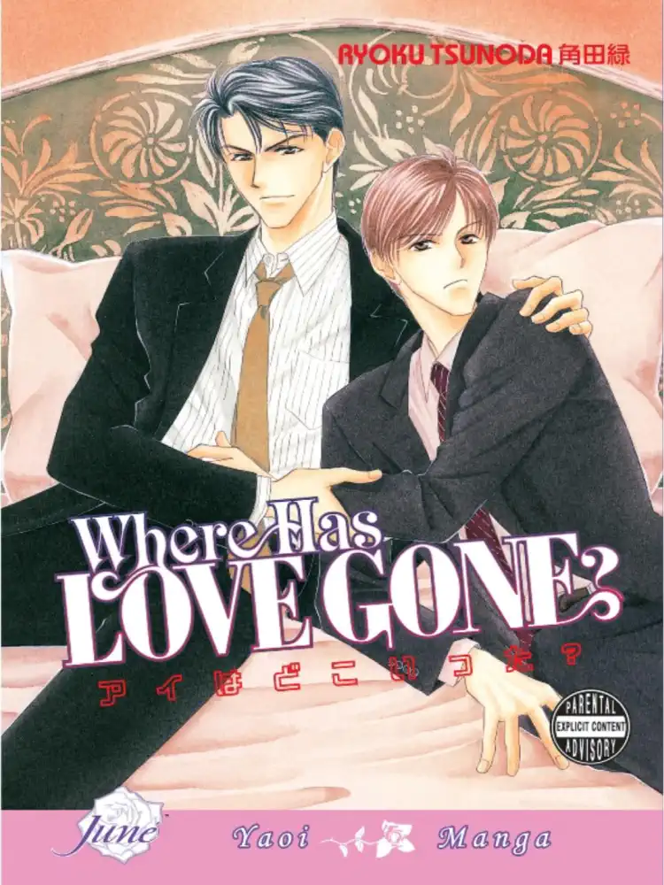 9781569700211 Where Has Love Gone?