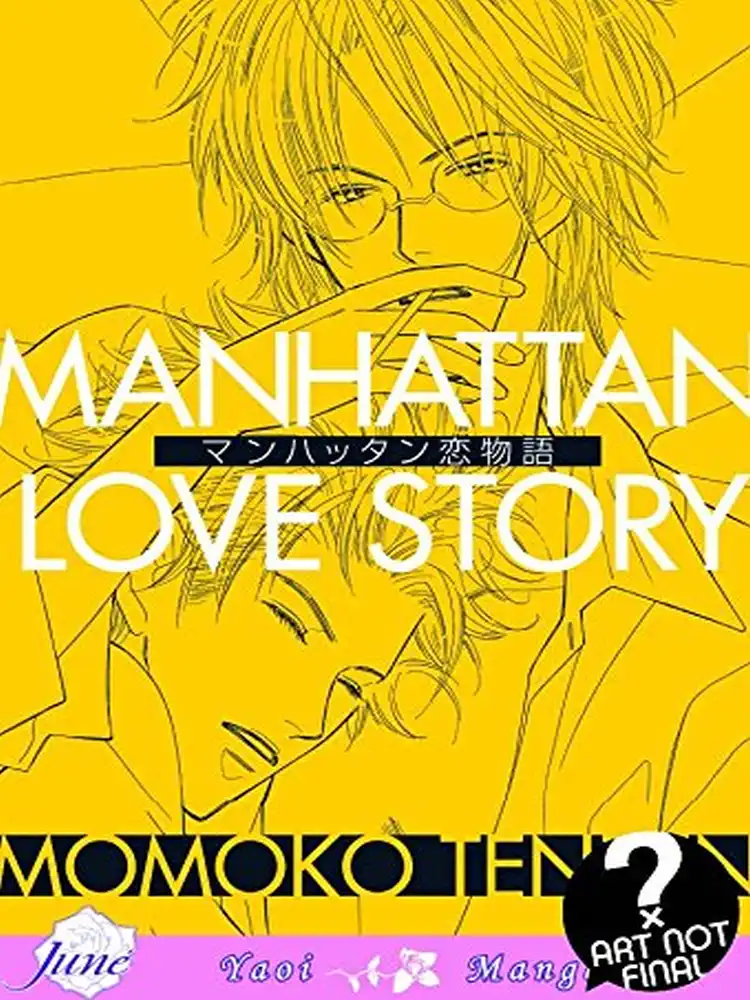 9781569700389 Manhattan Love Story