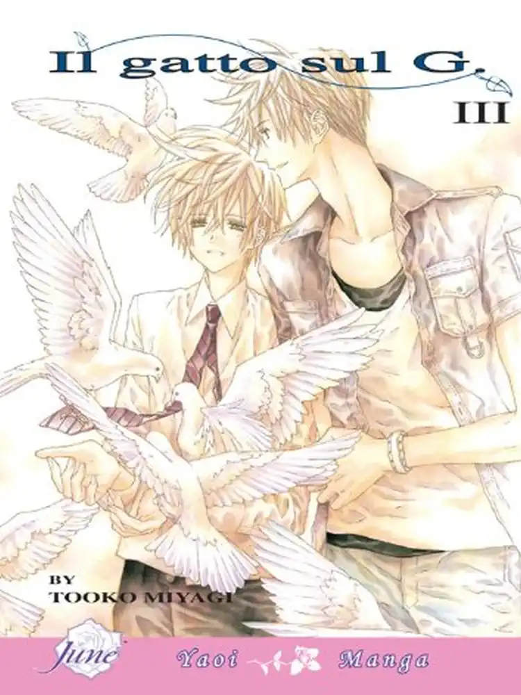 Il Gatto Sul G Volume 03
