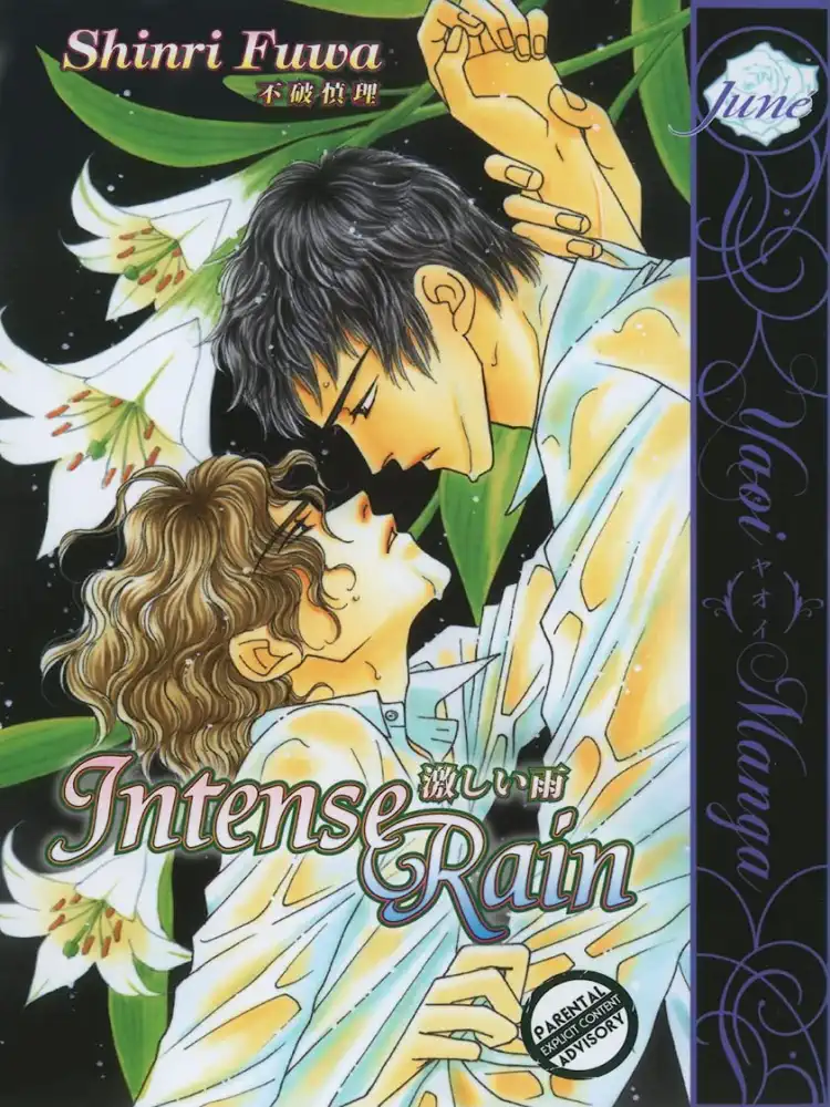 9781569701645 Intense Rain