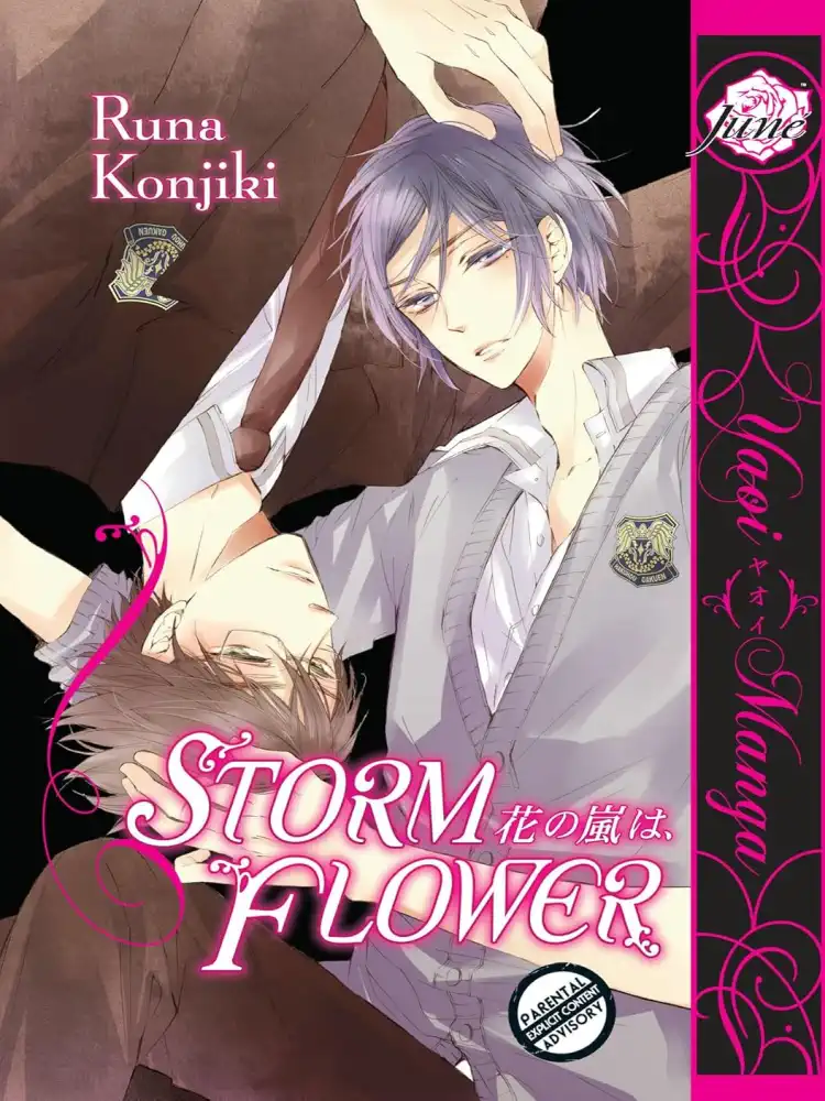 9781569702444 Storm Flower