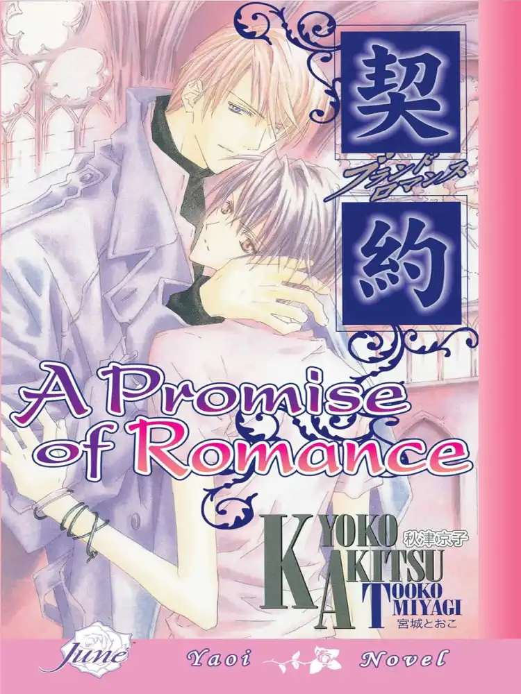 9781569707104 A Promise of Romance