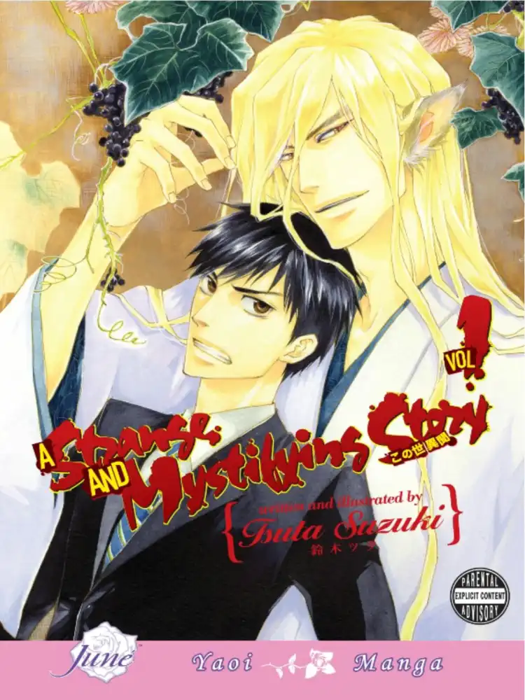 9781569707173 A Strange and Mystifying Story Volume 01