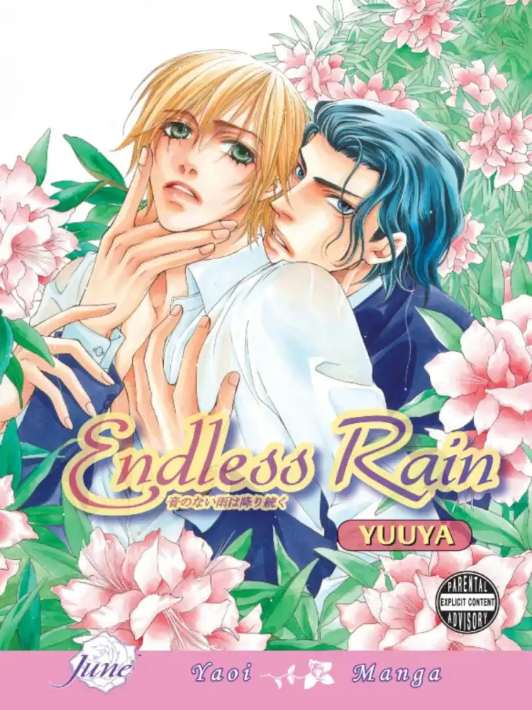 Endless Rain