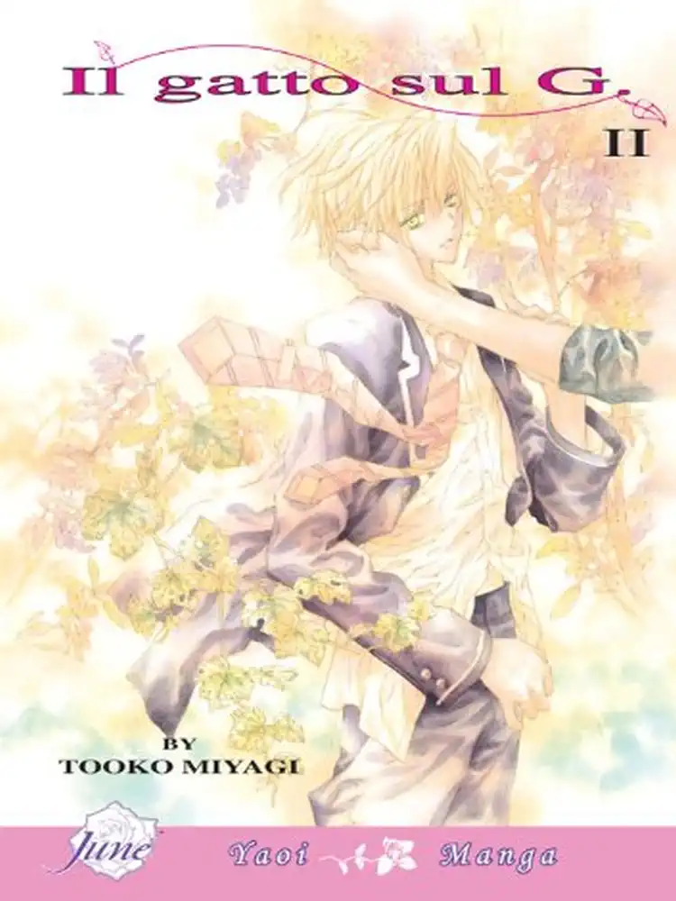 Il Gatto Sul G Volume 02