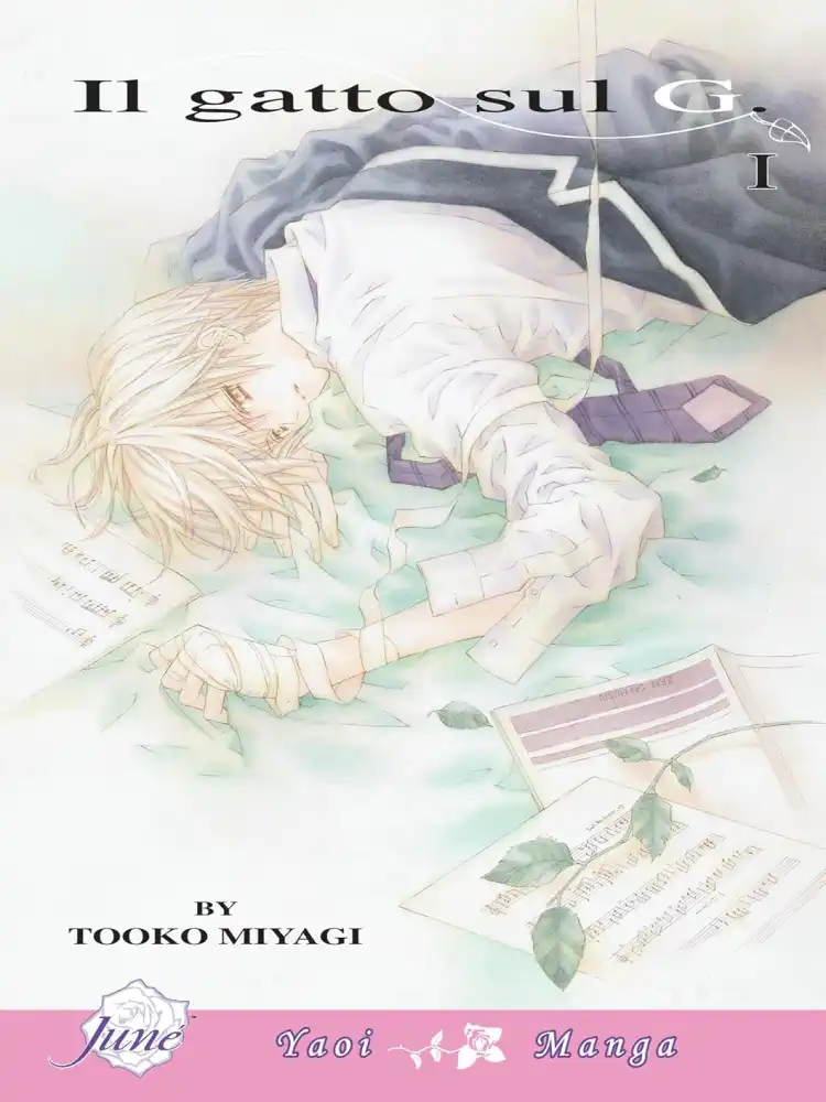 Il Gatto Sul G Volume 01