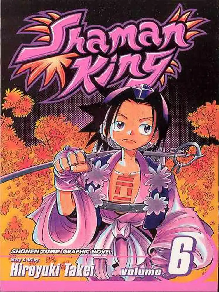 Shaman King Volume 06