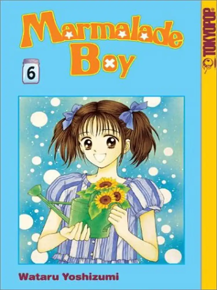 Marmalade Boy Volume 06