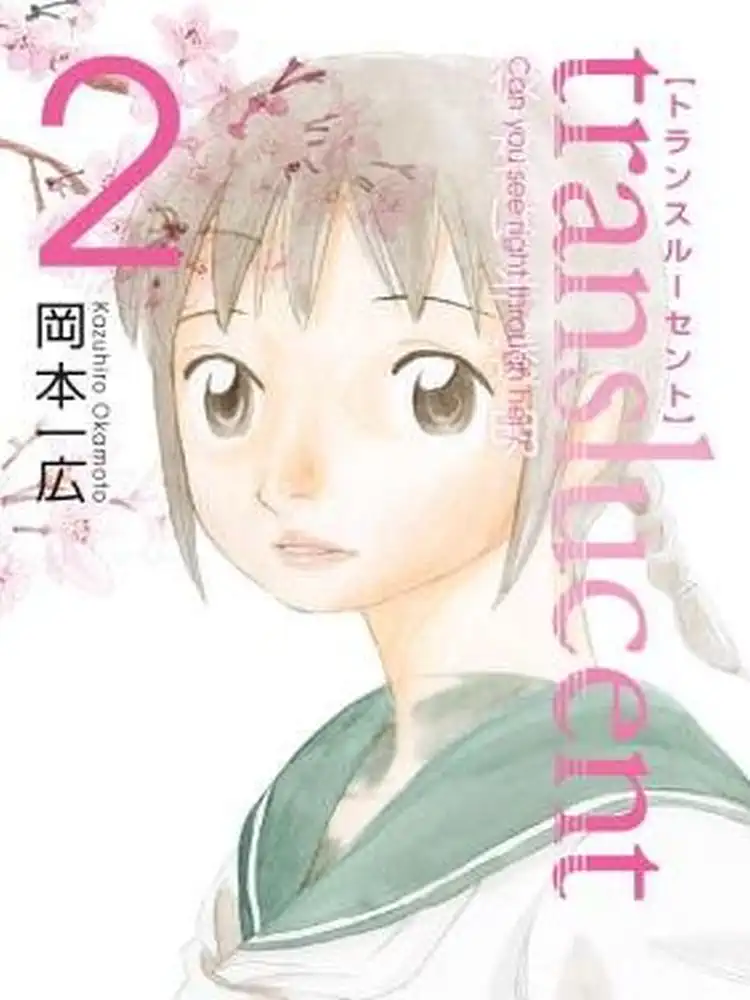 Translucent Volume 02