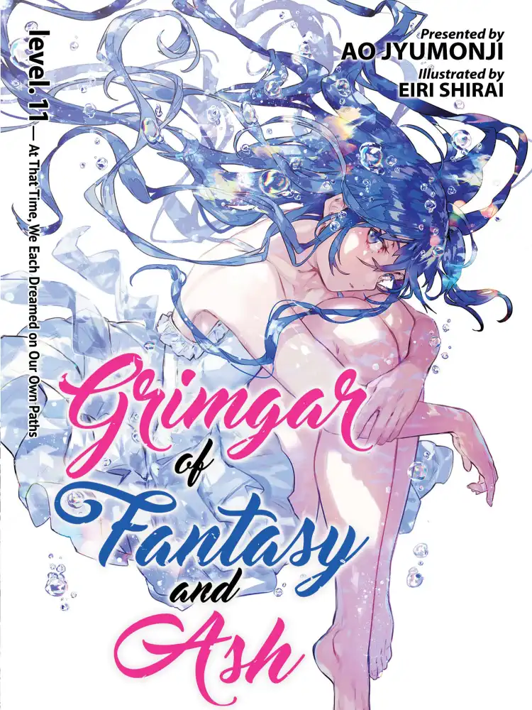 Grimgar of Fantasy and Ash (Light Novel) Volume 11