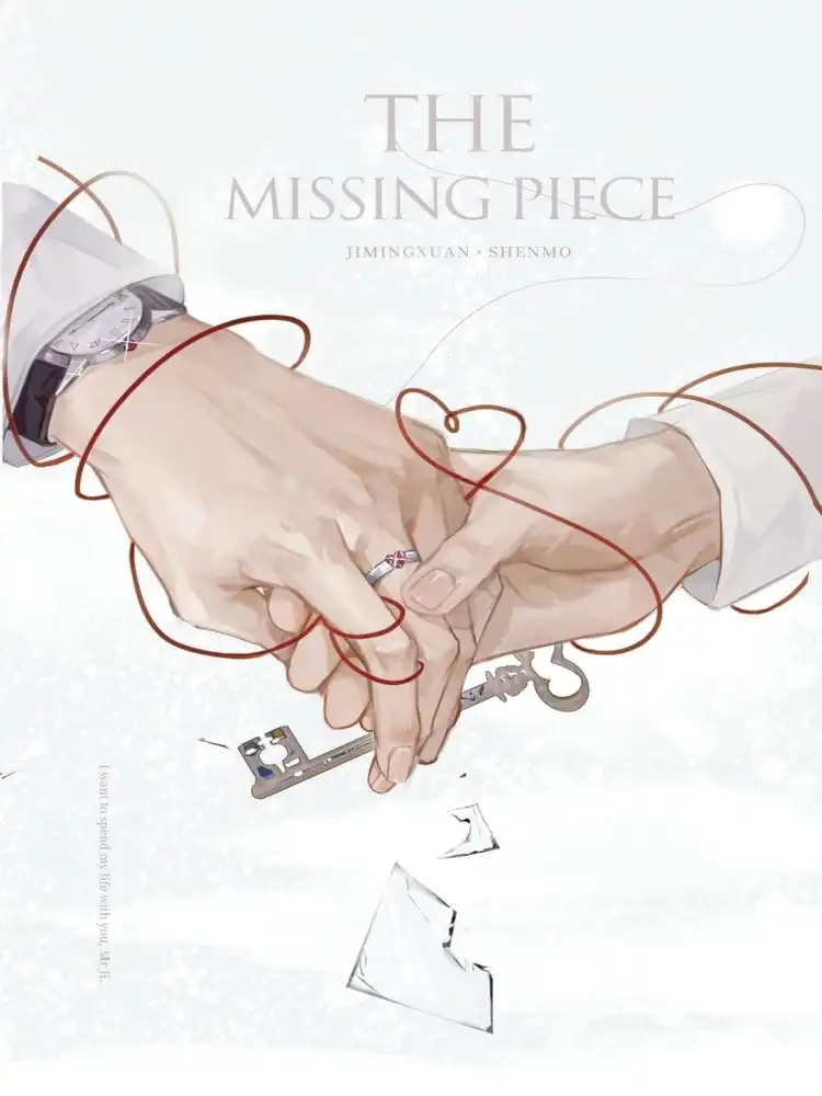 The Missing Piece (Novel)