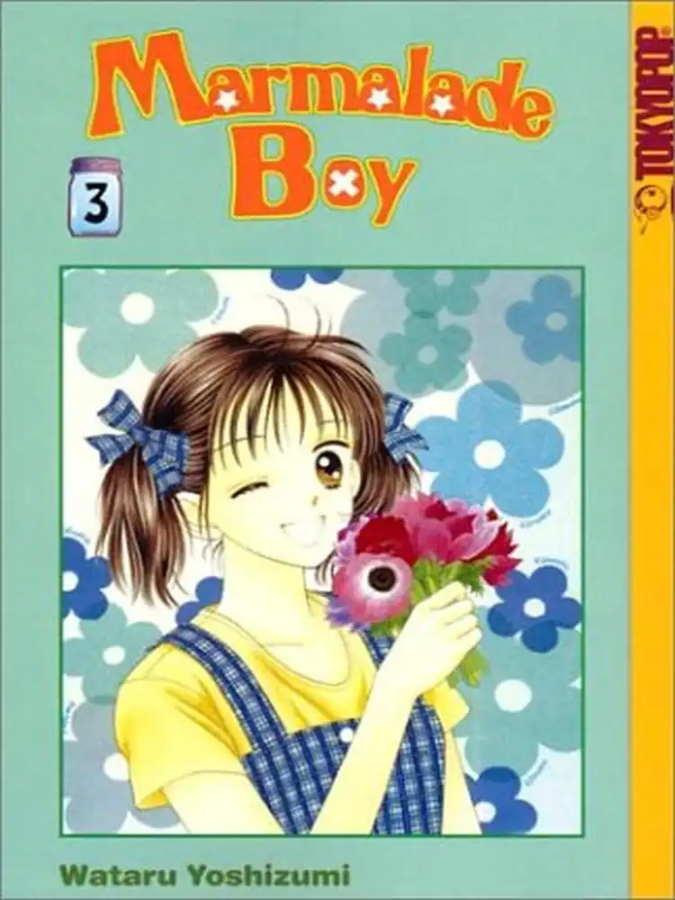 Marmalade Boy Volume 03