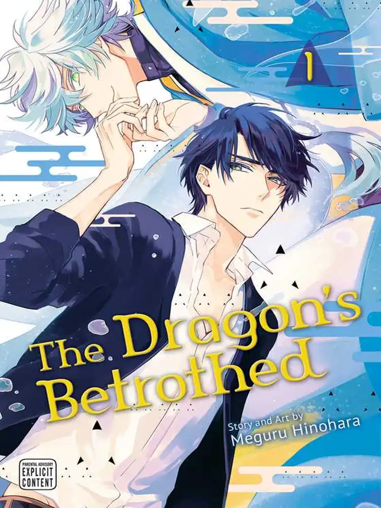 9781974734153 The Dragon's Betrothed Volume 01
