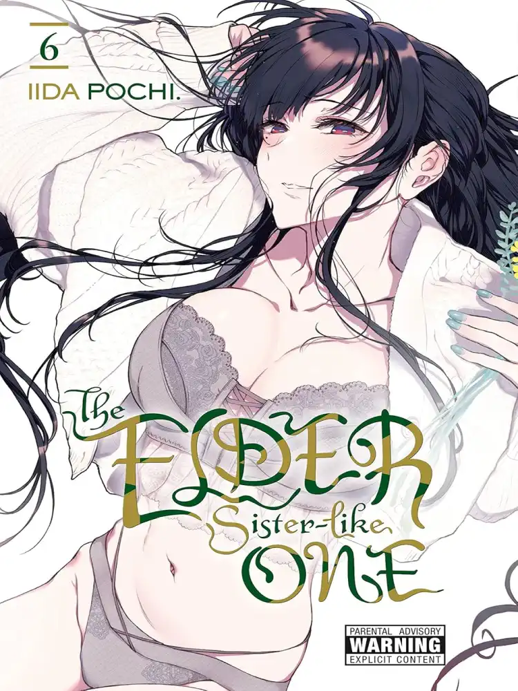 The Elder Sister-Like One Volume 06