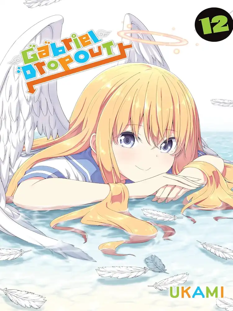 9781975364014 Gabriel Dropout Volume 12