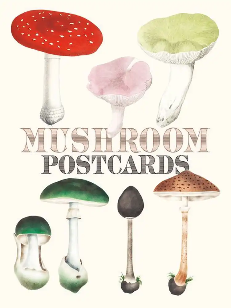 9784756253804 Mushroom Postcards